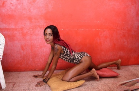 Brazzilian Elisa Calvi beautiful porn photo